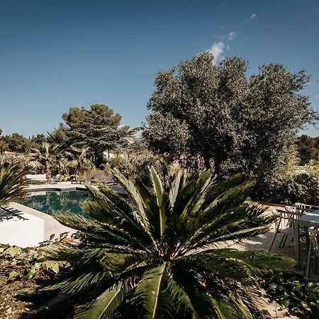Spacious With Pool Close To The Beaches Vila *